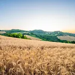 Almifiole